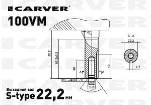 Carver Двигатель бензиновый 100VM (01.025.00070)